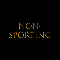 NON SPORTING tile