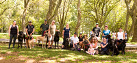 12--3-23 Great Dane Club walk in the park