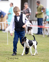 2023 Dog Shows, South  Island New Zealand