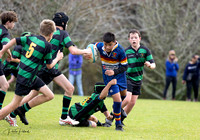 Junior rugby Club day 2023-6