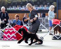 FKA Candid-16