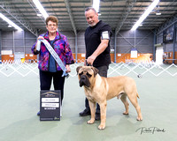 6-8-2023 LKA Best In Show - Shirley Rolfe