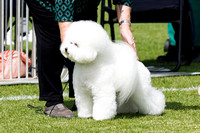 2-10-23 Purina Pro Plan Auckland Curtain Raiser