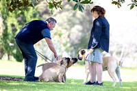 18/9/2022 Wayne -Waterlea Kennels