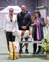 6-10-23 Wellington Bulldog Club CH