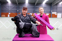 18/11/23 Akl Spaniel Club - Open Show