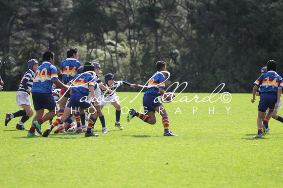 Massey Vs Kasuda Under 12  24-08-2019 (63)