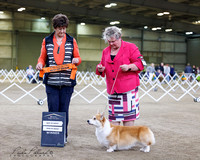 20-4-24 Ruahine Show two Working