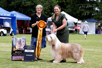 AKL KC 1ST FEB 25-53504