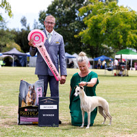 2-2-25 HIBISCUS COAST KENNEL ASSN CH