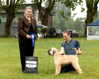 Terriers, Judge E Watson Show 2