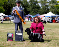 1-2-25 Show 1 Gundogs